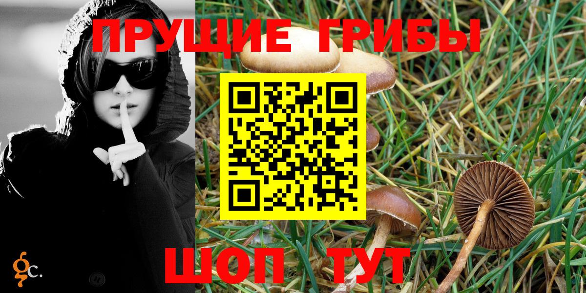 Моздок  Псилоцибиновые грибы Magic Shrooms  Вход с VPN 